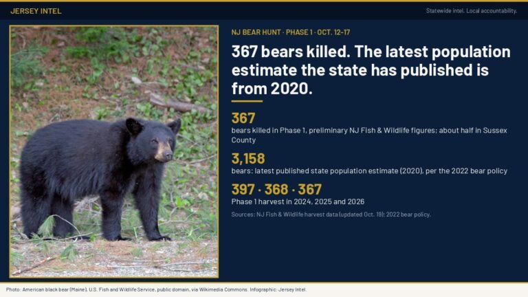 367 bears killed in N.J. hunt’s first phase; newest estimate from 2020
