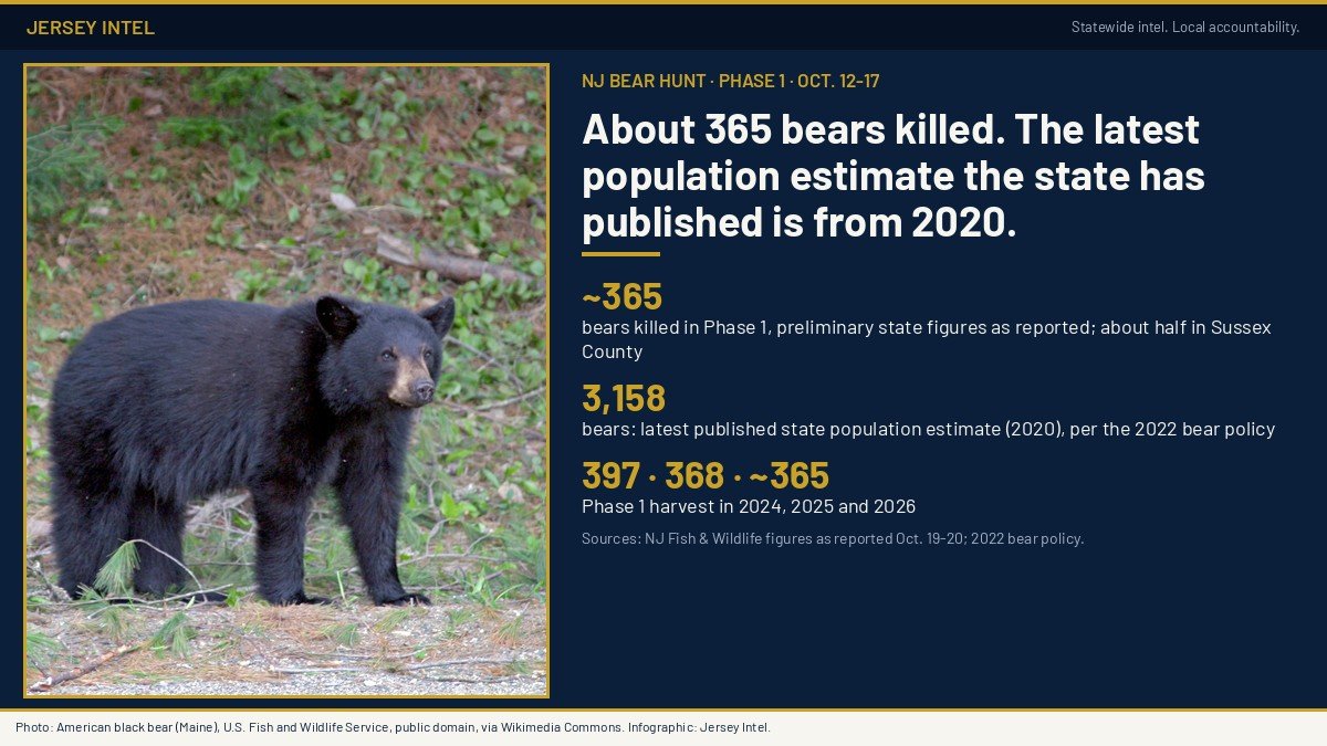 Jersey Intel infographic: about 365 bears killed in Phase 1 of New Jersey's 2026 bear hunt; the latest population estimate the state has published is 3,158 bears for 2020; photo of an American black bear